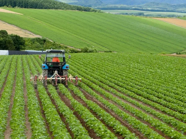 Doğru Ekipman Seçimi Nasıl Yapılır?